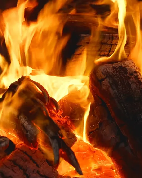 chemisage france jaune fusee